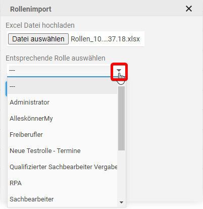 Einstellungen_Rolle-import2